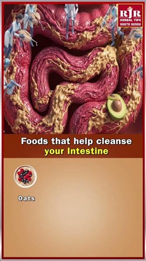 4 Best Foods to Help Naturally Cleanse Your Intestine!