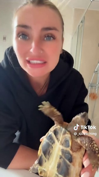 Discovering My Tortoise's True Gender During Bath Time