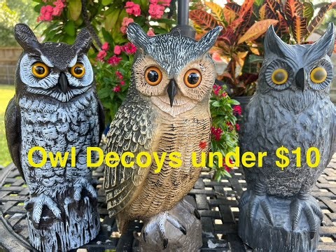 OWL DECOYS fake owls to scare away unwanted birds, squirrels, hawks from your yard, deck and garden
