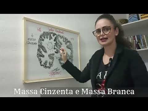 NEUROANATOMIA - MASSA CINZENTA E MASSA BRANCA NO SISTEMA NERVOSO CENTRAL