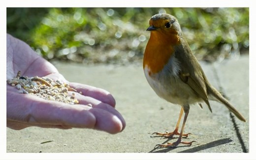 【摄影技巧】佳能7D摄影技巧