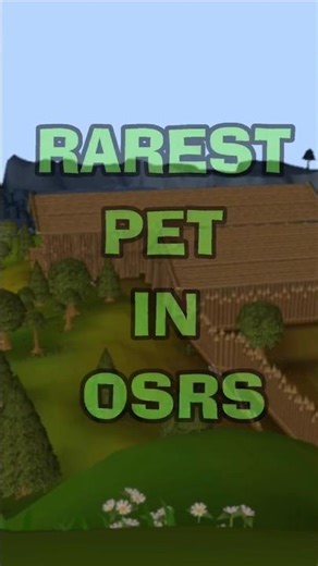 I Got the RAREST Pet in OSRS