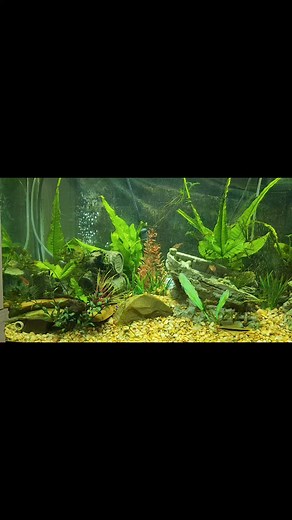 My crawdad hole wo crawdads! #tonightthroughthelookingglass | Sam Burleigh