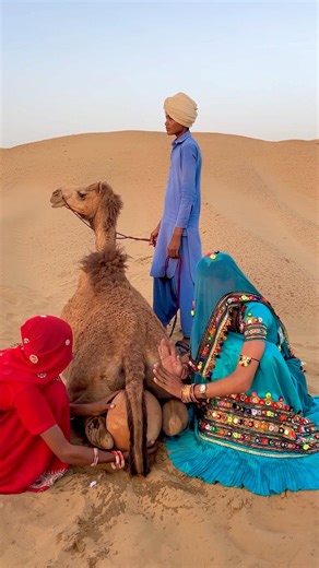 تجلس عروس جديدة على رمال الصحراء وتقرع إناءً فخاريًا خلف الجمل مع إخوتها الصغار لإحياء ذكريات زفافها