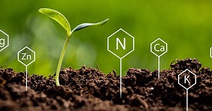 Washington | Soils | Natural Resources Conservation Service