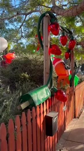 The white coat couple does Christmas #christmas #thewhitecoatcouple