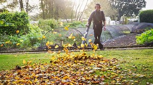 6 Essential Tasks for Your Fall Yard Clean-Up