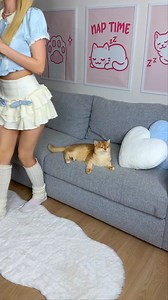 Why is my cat Nika so smart? 🧠 #cat #cats | Princess Cat