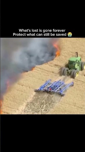 What's lost is gone forever. Protect what can still be saved 😭