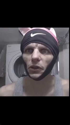Austin Greene on Instagram: "Have you seen the trailer for the new Transformer movie? Bro transforms into a cat."