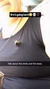 Internet is Cooked #memes #funnymemes #laugh