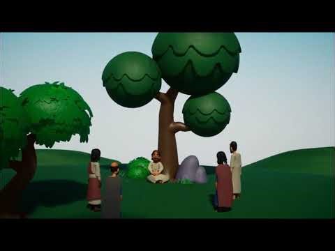 Primary school: Christianity explored