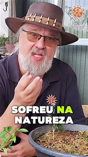 O que é Bonsai Neagari? Raízes Expostas Explicadas em 30s #bonsaibrasil