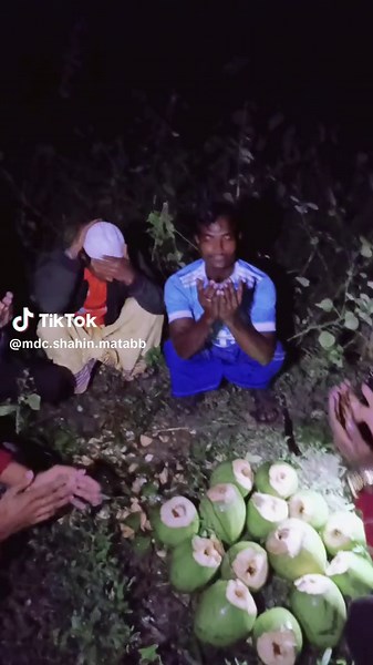 SHAHIN MATABBOR (@mdc.shahin.matabb)’s videos with original sound - md....bitul579