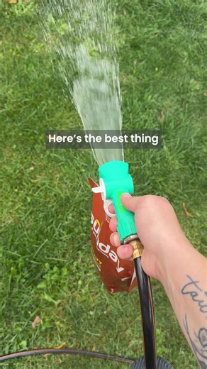 43K views | Grow a greener lawn that’s better for pets, people, and planet with Sunday. | Sunday | Facebook