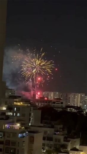 Happy New Year 2026 #fireworks #happy2026#happynewyear