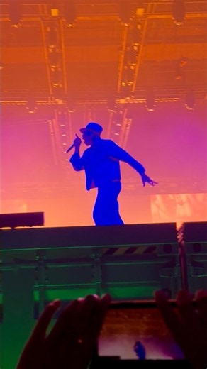 Who Dat Boy? - Tyler, The Creator Live In Brisbane, AU (30/8/25). #concert #live #livemusic #rap