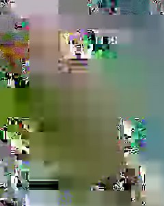 Being a lumberjack requires so many skills 😯 🪵 | UNILAD