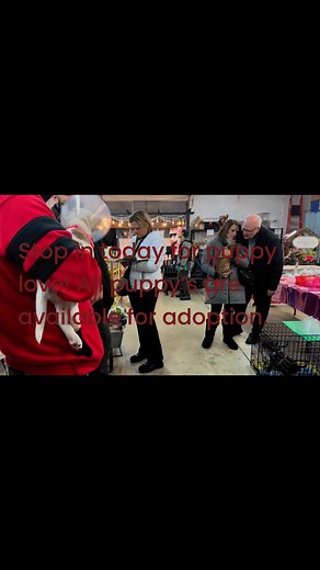 My New Favorite Thing on Reels