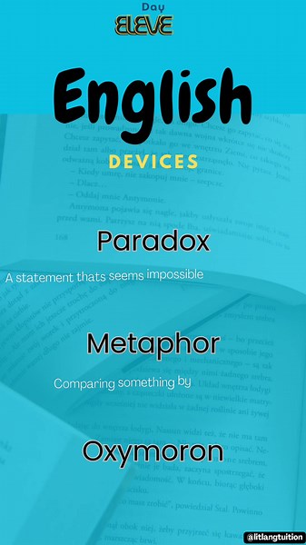 Improve Your Terminology with Paradox in 30 Days