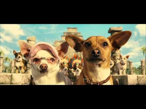 beverly hills chihuaua trailer ita