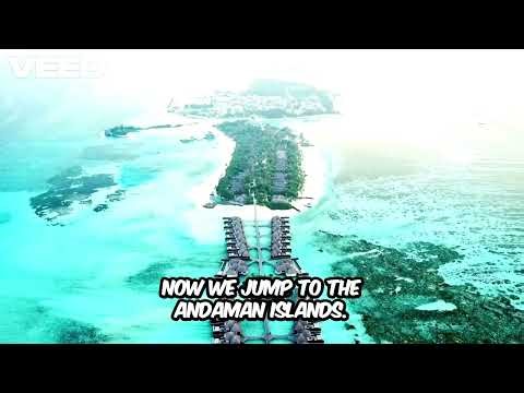 Tropical evergreen forests