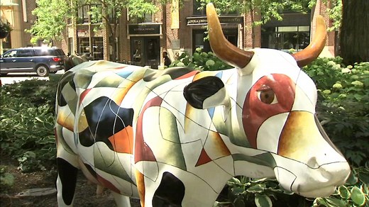'Cows on Parade' sculptures return to Chicago for 20th anniversary