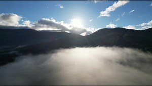 Some moments just take your breath away  It's Waring Wombat Season...
