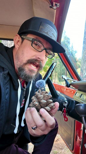 45K views · 37 reactions |  퐎퐰퐧 퐚 퐋퐞퐠퐞퐧퐝 퐓퐡퐚퐭 퐃퐞퐟퐢퐧퐞퐝 퐀퐦퐞퐫퐢퐜퐚퐧...