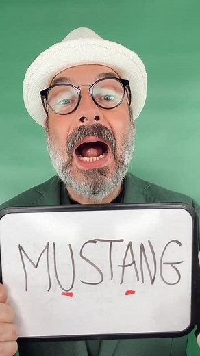 Steve Dapper su TikTok