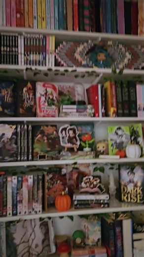 Decluttering for Book Lovers: Letting Go of Books