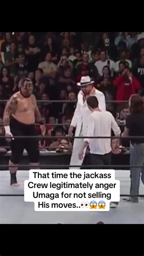 Umaga's Legendary Reaction to Jackass Crew's Antics