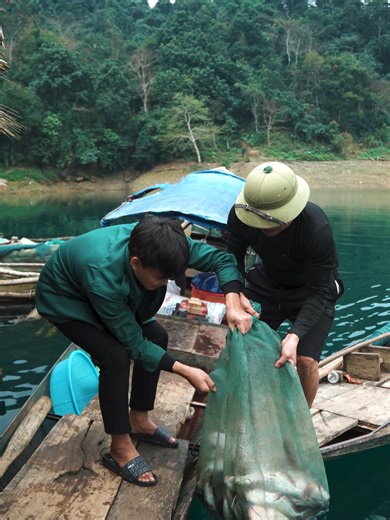 Một ngày bội thu Cá nghạnh sông và cá quả của sóm hạc #hacvlog #amthuc #xuhuong