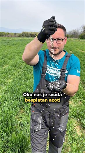 ‼️Sačuvaj objavu ako ti je potreban besplatan azot za prihranu pšenice! 😁✅🍀