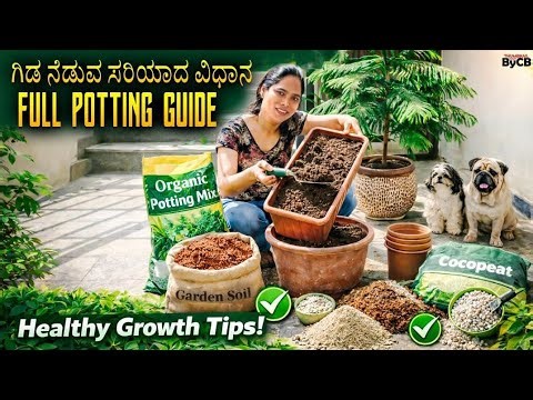 ಗಿಡ ನೆಡುವ ಸರಿಯಾದ ವಿಧಾನ | Complete Potting Guide in Kannada | Healthy Plant Growth Tips