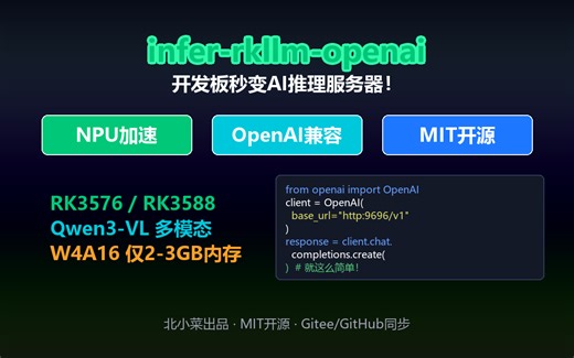 🚀 RK3576跑大模型！infer-rkllm-openai开源！开发板秒变AI服务器！OpenAI API兼容+NPU加速