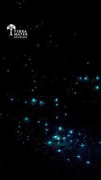 These “Stars” Are Actually Carnivorous Glow Worms 🐛✨#davidattenborough