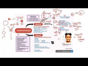 Chromosomal Aberration and Cytogenetic Techniques (شرح بالعربي)