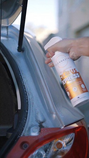 Boot crevices are one of the most overlooked areas during an interior...