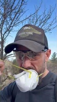 Spring fruit tree maintenance