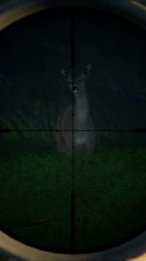 Definitely one of the best scopes in game #callofthewildhunter #hunting #shorts