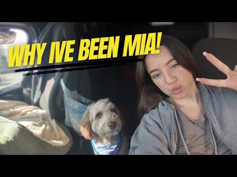 OTR Trucking - The Real Reason I’ve Been Gone..