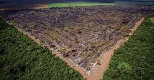 Inpe: desmatamento na Amazônia Legal tem aumento de 21,97% em 2021