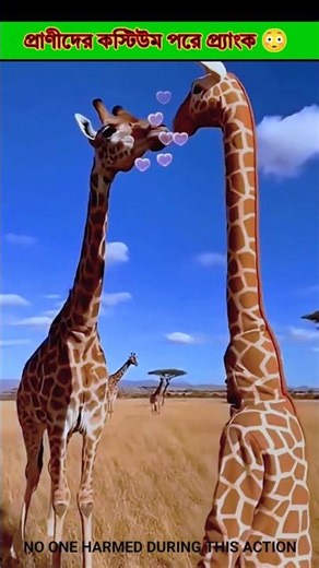 Animal costume prank 😳