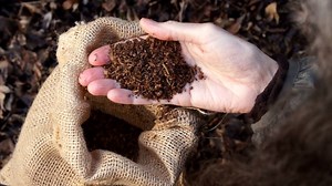 Is human composting the next frontier in death care?