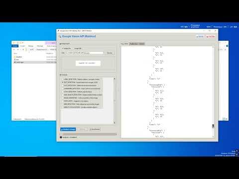 Google Vision API Exploitation Tool (FREE & UNLIMITED)
