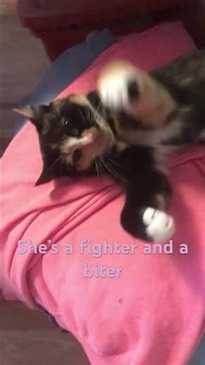 She’s a fighter and a biter