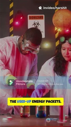 How Creatine Works for Your Muscles