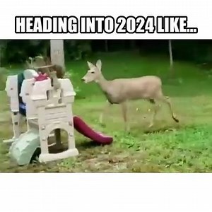 12K views · 178 reactions | Happy New Deer! 歷 Upcoming January shows dates: 1.5 Sherman Theater • PA 1.6 Swig • PA 1.11 Hub City Vinyl • MD 1.12 The Hamilton • DC 1.13 The Landis Theater • NJ 1.19 Lighthouse Bar • RI 1.20 Park City Music Hall • CT 1.26 The Jetty • MD 1.27 GB Charities Bull & Oyster Roast • MD Raise the barn! #AmishOutlaws | The Amish Outlaws | Facebook