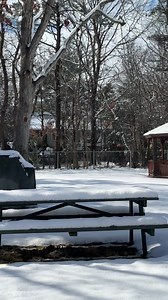 🎶🎶 Donde Estará Mi Primavera 🎶🎶 | Domingo López
